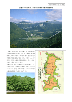 成瀬ダム予定地は、本来ならば森林生態系保護地域