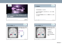 Joel Beilin先生の講演資料, 1 MB