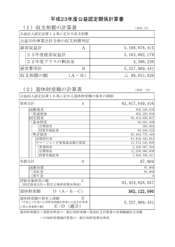 （2）遊休財産額の計算書 （単位：円） （1）収支相償の計算書