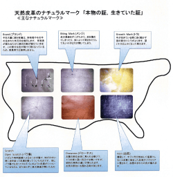 天然皮革のナチュラルマーク 「本物の証、 生きていた証」