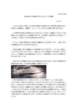 20150610(WED) 破砕帯中の花崗斑岩に見られるラメラ状構造 Haruka
