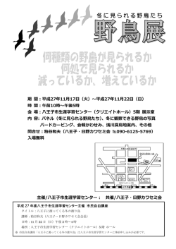 冬に見られる野鳥たち - 八王子・日野カワセミ会