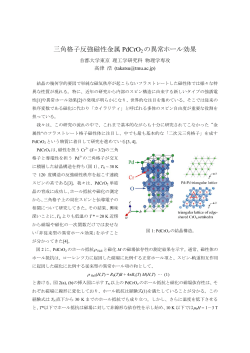 三角格子反強磁性金属 PdCrO 2 の異常ホール効果