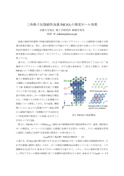 三角格子反強磁性金属 PdCrO 2 の異常ホール効果