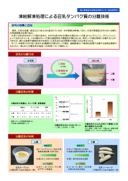 凍結解凍処理による豆乳タンパク質の分離技術