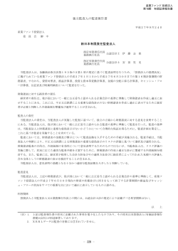 独立監査人の監査報告書 新日本有限責任監査法人