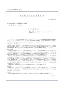 監査報告書（PDF形式：104KB）