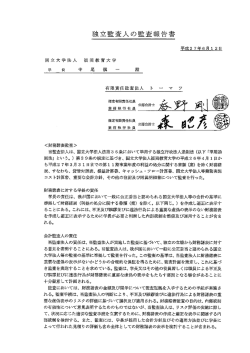 独立監査人の監査報告書 [PDF：99KB]