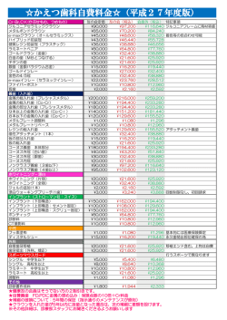 自費金額表PDF（113KB）