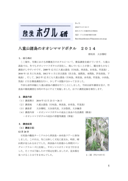 八重山諸島のオオシママドボタル 2014