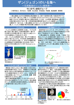 八重山ザン研究会ポスター