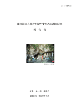 龍河洞の入洞者を増やすための調査研究 報 告 書