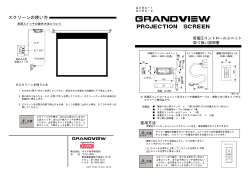 GRANDVIEW Projection Screen 低電圧コントロールユニット GVRC
