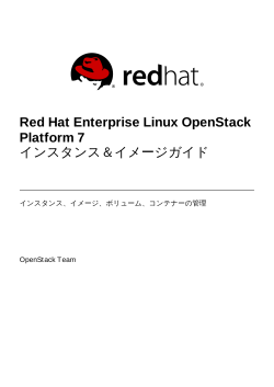 Red Hat Enterprise Linux OpenStack Platform 7 インスタンス