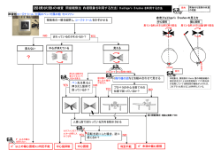 固視状態の検査 間接観察法（内視現象を利用する方法）：