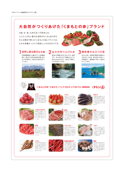くまもとの赤うまかモンフェア2015inTOKYO チラシ裏PDF