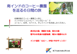 南インドのコーヒー農園 を巡る6日間の旅 - IJC Trade India Pvt. Ltd.