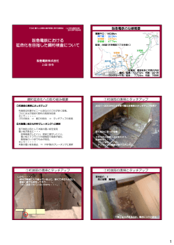 1 阪急電鉄における 延命化を目指した鋼桁検査