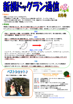 初めに ＊胃捻転 - 新横浜公園ドッグラン