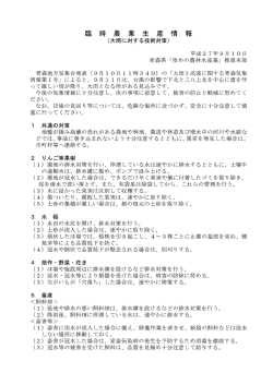 （大雨に対する技術対策） [579KB pdfファイル]