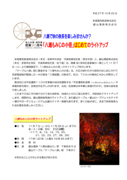 八瀬もみじの小径ライトアップ