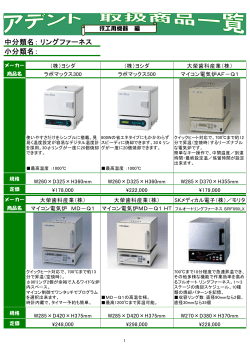 中分類名： 小分類名： リングファーネス
