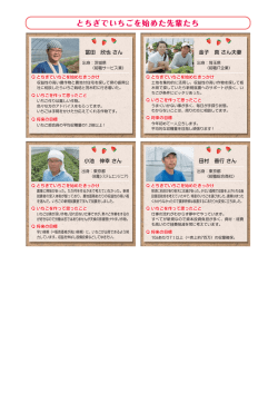 とちぎでいちごを始めた先輩たち
