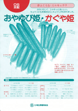 かわいらしく、 シャキッとおいしい。 キュウリにも本格的な三二キュウリが