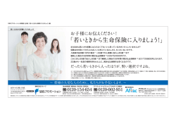 別ウインドウでPDFを表示