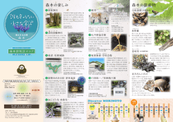 誰も知らない 小さな金沢