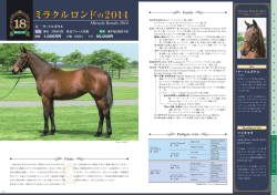 ミラクルロンドの2014 ミラクルロンドの2014
