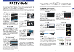 PRETYNA-M