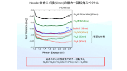 TMOKE回転スペクトル