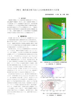 PS-5 動的重合格子法による回転物体周りの計算
