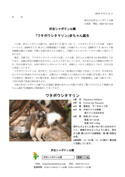 ワタボウシタマリン - 伊豆シャボテン公園