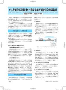 ガス専焼発電設備用ガス供給系統評価委員会審議結果