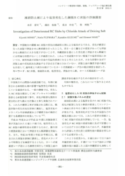 凍結防止剤により塩害劣化した鋼橋RC床版の詳細調査