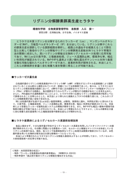 リグࢽン分解酵素群高生産ヒラタケ