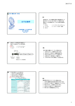 配布資料タイプ - 第一薬科大学