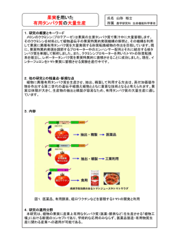 果実を用いた有用タンパク質の大量生産