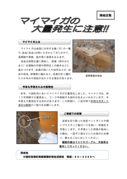 マイマイガの大量発生に注意！！（PDF:217KB）