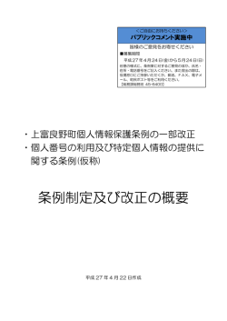 条例制定及び改正の概要