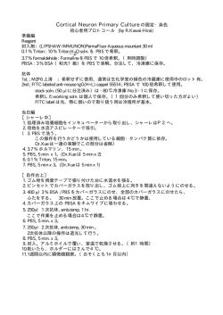 初心者固定染色