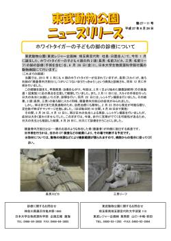 ホワイトタイガーの子どもの脚の診療について