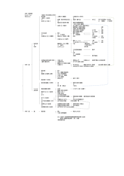 中村 家系図 Family Tree （安政二年生昭和三年卒） Nakamura 仲次郎