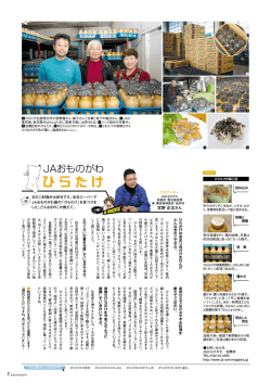 田ひらたけ生産歴20年の西野隆さん、敏子さんご夫妻と息子の隆功さん