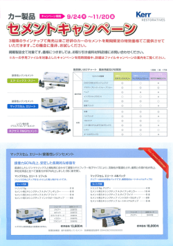 ｾﾒﾝﾄの癖慧