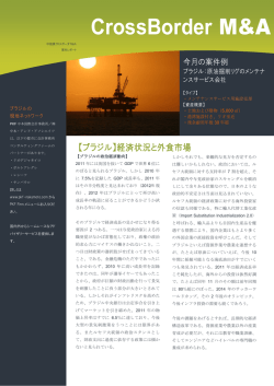 ブラジル - 中本国際会計事務所