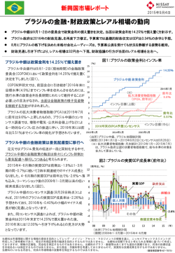 ブラジルの金融・財政政策とレアル相場の動向