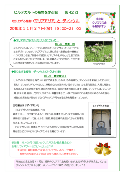 マリアアザミ と ディンケル 2015年11月27日（金） 19：00～21：00